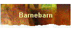 Barnebarn