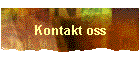 Kontakt oss